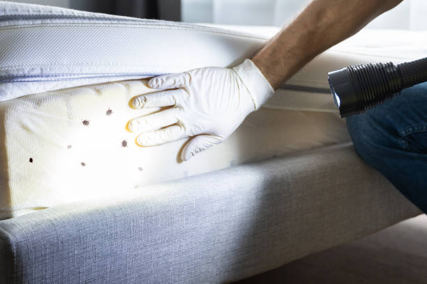 Best Commercial Pest Control Services  in Shelburne Falls, MA