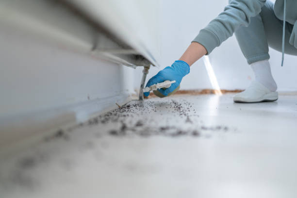 Best Mosquito Control Services  in Shelburne Falls, MA