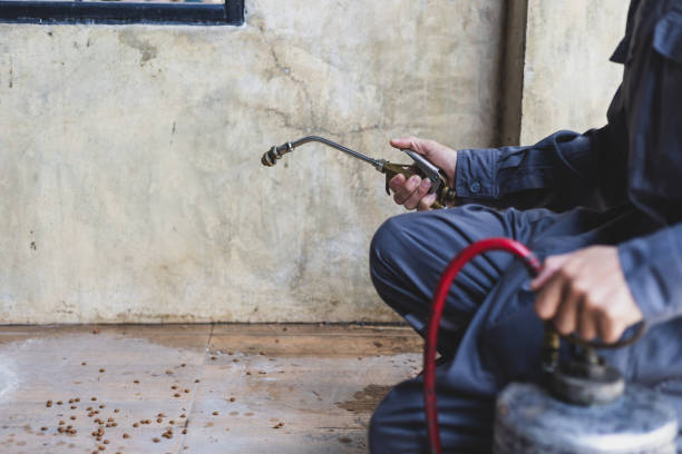 Best Residential Pest Control  in Shelburne Falls, MA
